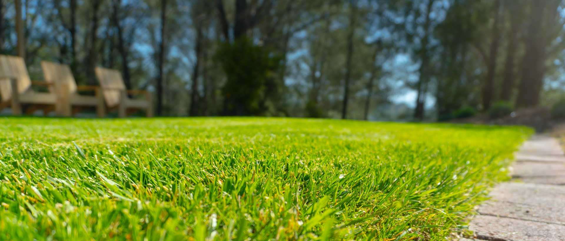 Green lawn beside a garden path